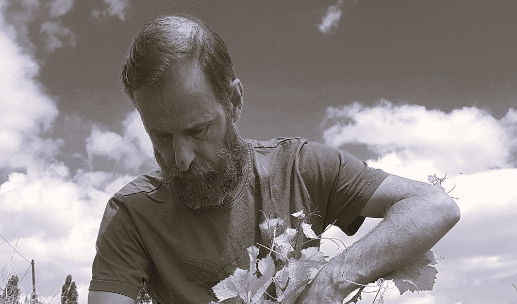 Stéphane Cyran