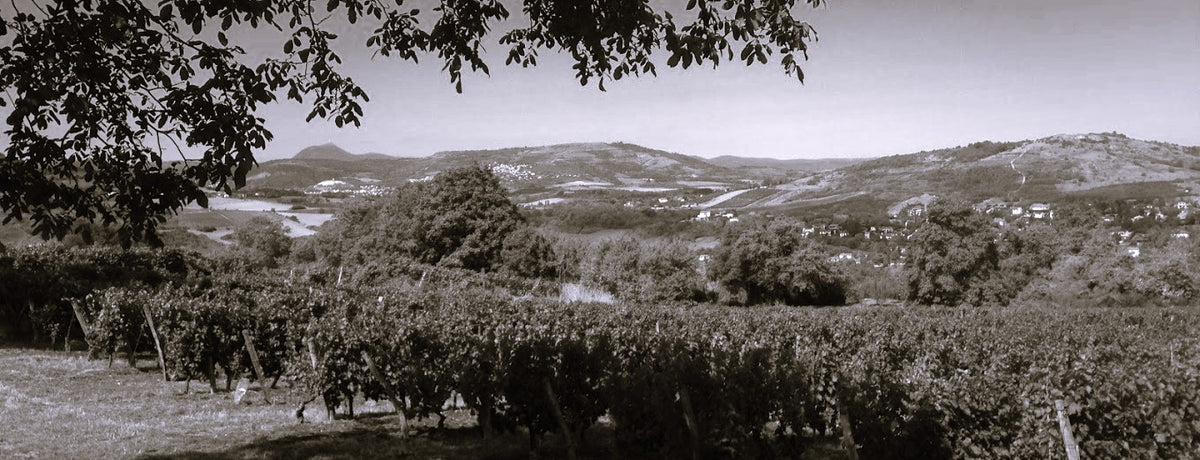 Les Trouillères